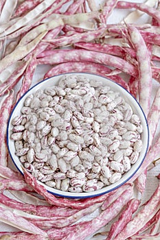 Raw pinto beans and pods as a background