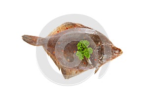 Raw plaice fish