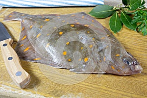 Raw plaice fish on a table