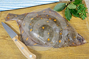 Raw plaice fish on a table