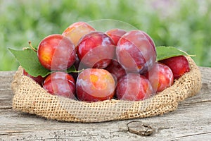 Raw plum on old wooden table with green background