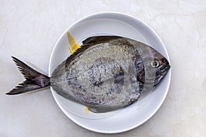 Raw pomfret fish on a plate top view