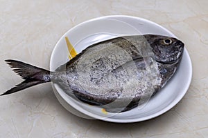 Raw pomfret fish on a plate top view