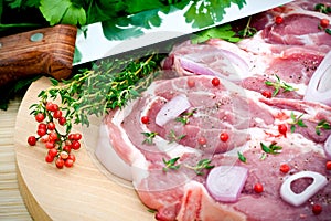 Raw pork meat and seasoning photo
