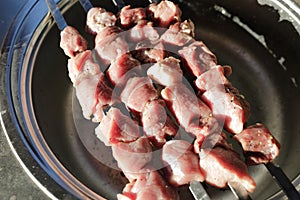 Raw pork meat on skewers