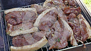 Raw Pork Meat Steak on Barbecue Grill