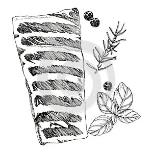 Raw pork spareribs sketched vector