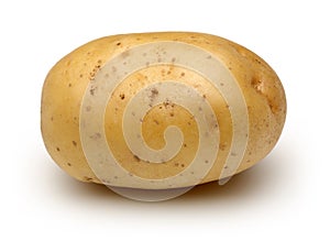 Raw potato photo