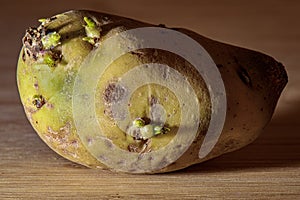 Raw potato on a wooden board