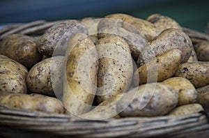 Raw potatoes in baskets on the market