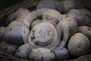 Raw potatoes in baskets on the market