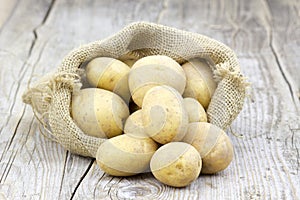 Raw potatoes in burlap bag