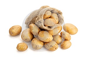 Raw potatoes in burlap sack isolated on white background. Raw potato