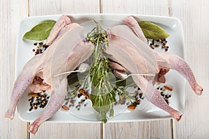 Raw poussin with herbs and spices photo