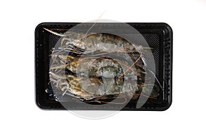 Raw prawn isolated in white baackground photo