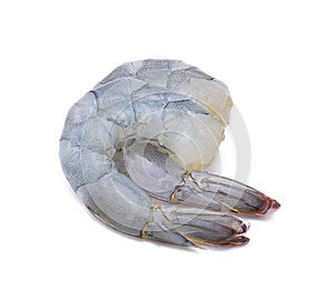 Raw prawns isolated on white background