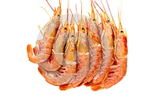 Raw prawns on a white background.