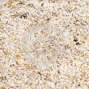 Raw psyllium husk close up