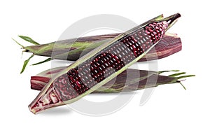 Raw purple corn isolated on white background. A lot of Anthocyanins natural color substances. Sweet taste. photo
