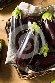 Raw Purple Organic Eggplants