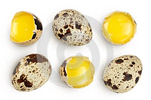 Raw quail egg isolated on white background with full depth of field. Top view. Flat lay