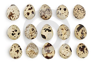 Raw quail egg isolated on white background with full depth of field. Top view. Flat lay