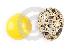 Raw quail egg isolated on white background with full depth of field. Top view. Flat lay