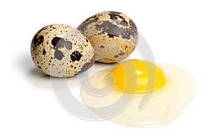 Raw quail eggs