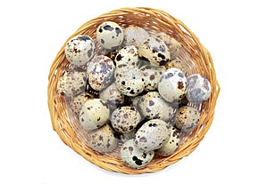 Raw quail eggs in basket on white background with space for tex, top view.