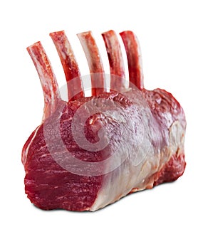 Raw rack lamb isolated