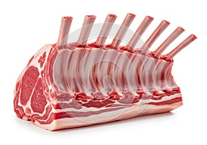 A raw rack of lamb with visible marbling and bone structure isolated on white background