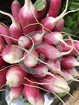Raw radishes for sale