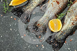 Raw rainbow trout with lemon, herbs and spices. Fish dish cooking with various ingredients, Healthy food or diet nutrition concept