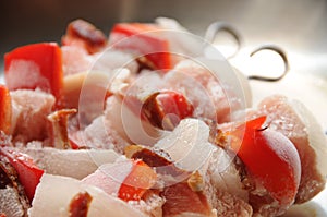 Raw raznjici with colorful red pepper, frozen, prepared for grill