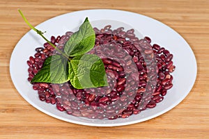 Raw red kidney beans with bean plant leaf on dish
