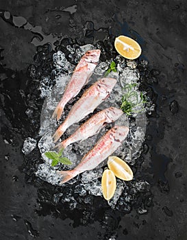 Raw Red Mullet fish with lemon, mint and rosemary on chipped ice over dark stone backdrop