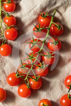 Raw Red Organic Cherry Tomatoes