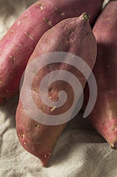 Raw Red Organic Japanese Yams