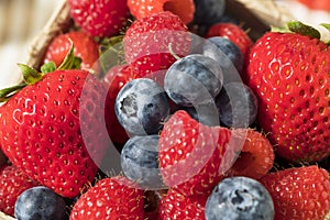 Raw Red Organic Mixed Berries