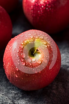 Raw Red Organic PInk Lady Apples
