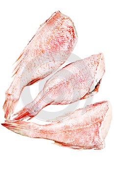 Raw Red perch or seabass fish. Isolated on white background. Top view.