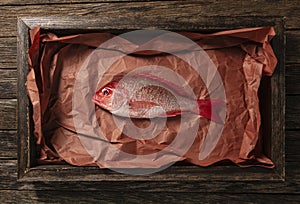 Raw Red Snapper Being Prepped