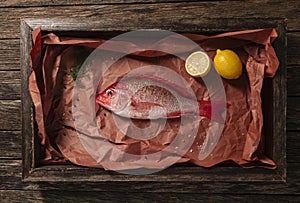 Raw Red Snapper Being Prepped