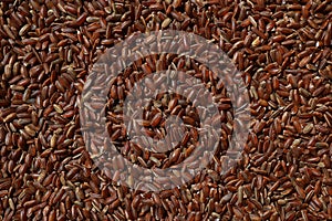 Raw red unpolished rice as background. Rubin grains closeup. Bhutanese. Uncooked organic brown rice for traditional