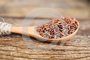 Raw red unpolished rice in spoon. Rubin grains closeup. Bhutanese. Uncooked organic brown rice for traditional Asian