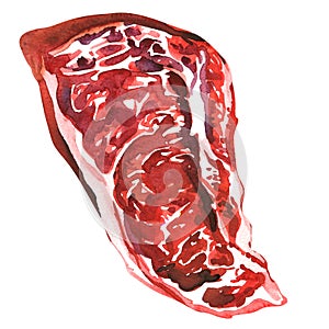 Raw ribeye steak, uncooked rib-eye steak, fresh beef meat ready to cook, close up, top view, isolated, hand drawn