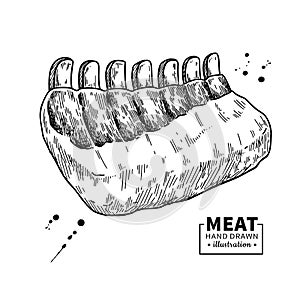 Raw ribs vector drawing. Beef, pork or lamb meat hand drawn sketch