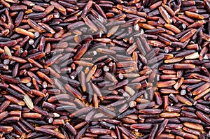 Raw Rice berry texture.