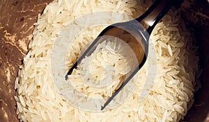 Raw rice grain in brown plate with spoon