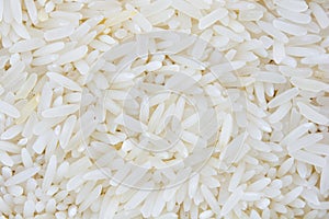Raw Rice Grain (Jasmine Rice)